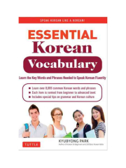 Woojoo Kim Korean Vocabulary Language Study Card (Cards) (UK